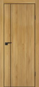 Межкомнатная дверь P-21  черный молдинг PET,  кромка ABS черная c 4-х ст. Дуб золотистый